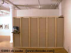 Alternative Museum show