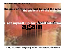 again- ©2001 cb cooke - image may not be used without permission