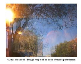 fall window - ©2001 cb cooke - image may not be used without permission