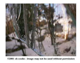 abstraction-i - ©2001 cb cooke - image may not be used without permission