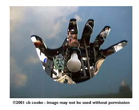 les-hand-partial - ©2001 cb cooke - image may not be used without permission