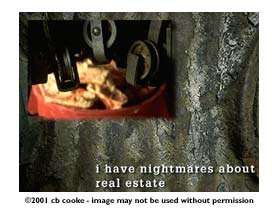 real estate nightmares - ©2001 cb cooke - image may not be used without permission