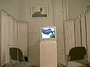 PaperVeins Installation